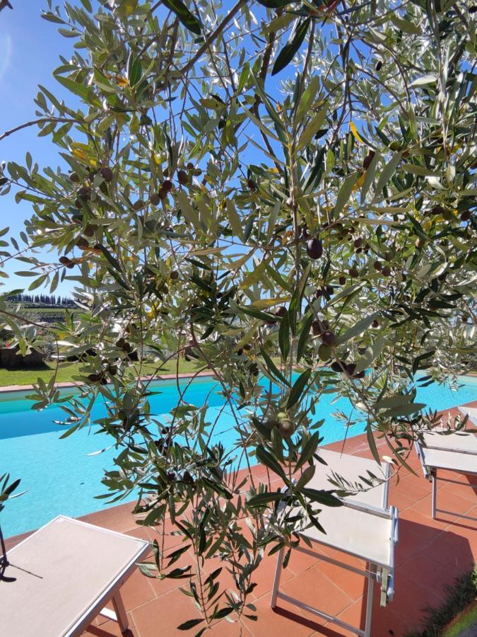 Agriturismo Sommassa Greve in Chianti Exterior foto