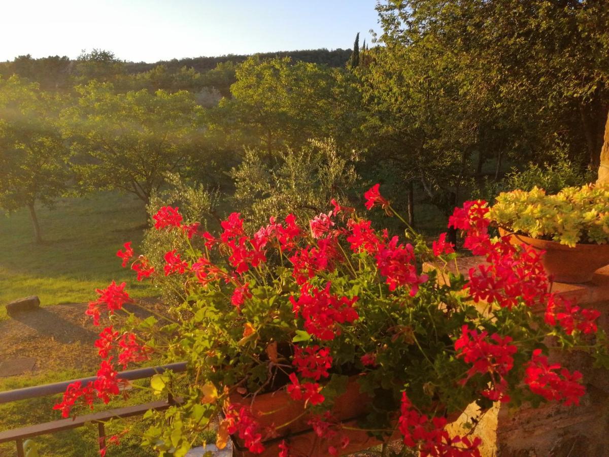 Agriturismo Sommassa Greve in Chianti Exterior foto